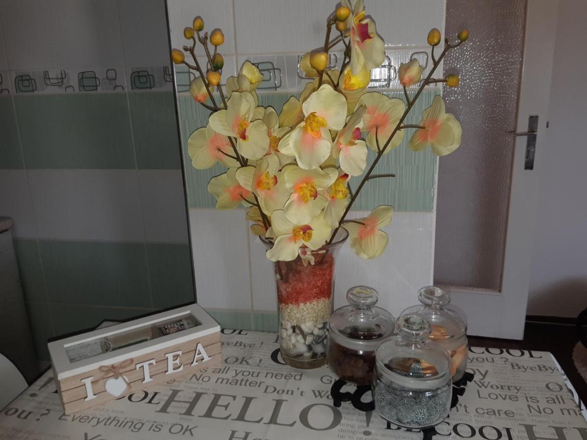 Sweet Home Danube Liman Apartment Novi Sad Exterior photo
